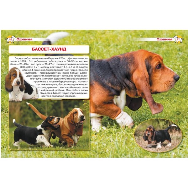 Енциклопедія. Собаки (російською мовою)