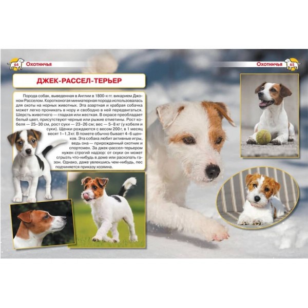 Енциклопедія. Собаки (російською мовою)