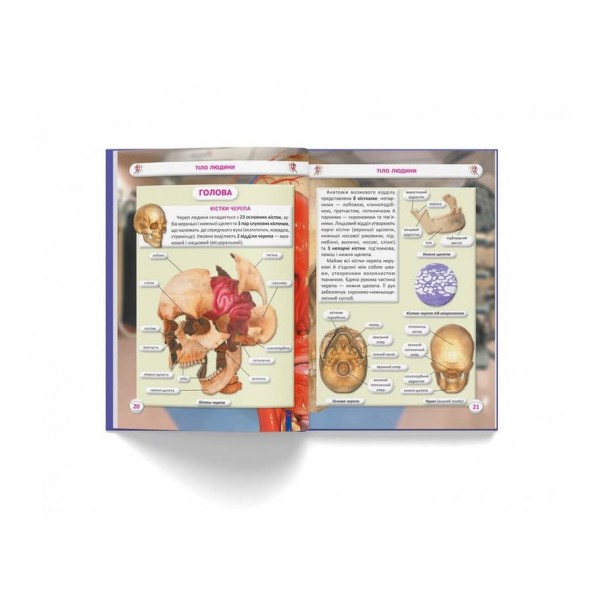 Усе про тіло людини. 1000 цікавих фактів  (українською мовою)