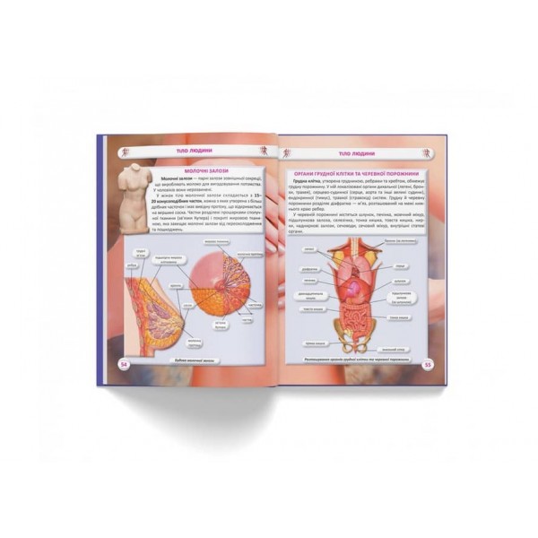 Усе про тіло людини. 1000 цікавих фактів  (українською мовою)