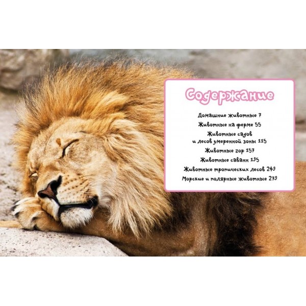 Моя улюблена книга про тварин