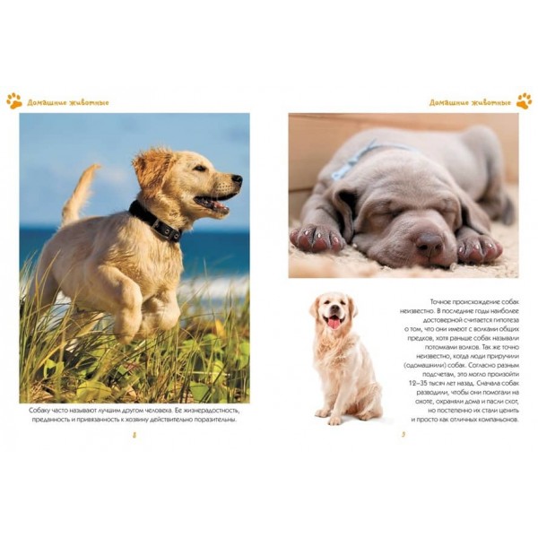 Моя улюблена книга про тварин