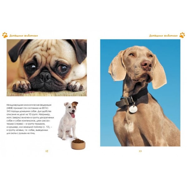 Моя улюблена книга про тварин