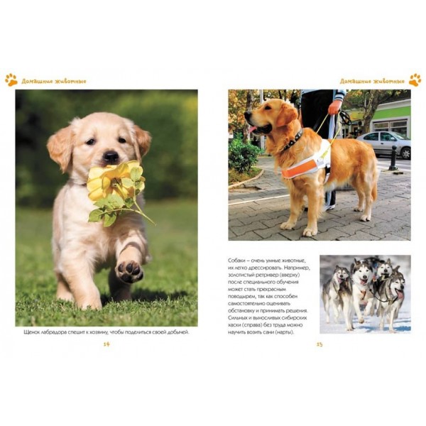 Моя улюблена книга про тварин