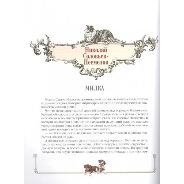 Нові кудлаті історії. Розповіді про собак