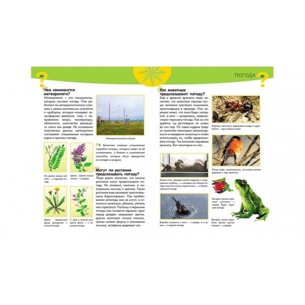 Енциклопедія чомучки (російською мовою)