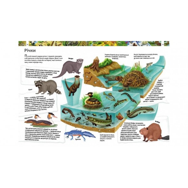 Дитяча енциклопедія. Дивовижний світ тварин (українською мовою)