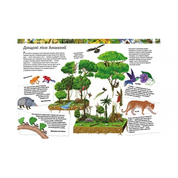 Дитяча енциклопедія. Дивовижний світ тварин (українською мовою)