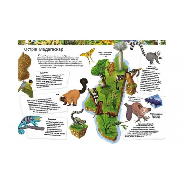 Дитяча енциклопедія. Дивовижний світ тварин (українською мовою)