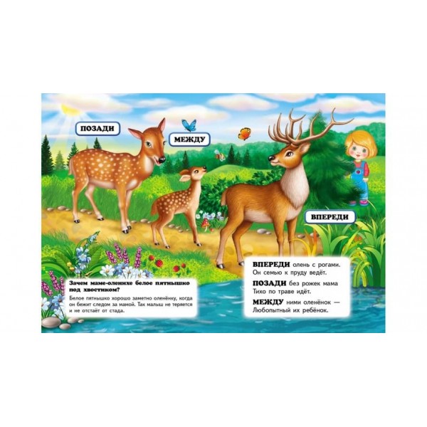 Де це? Орієнтуємося в просторі. Запитання та відповіді (російською мовою)