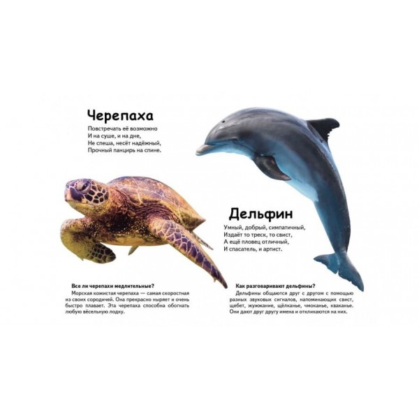 Хто це? Морські тварини. Запитання та відповіді (російською мовою)