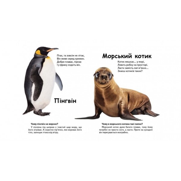 Хто це? Морські тварини. Запитання та відповіді (українською мовою)