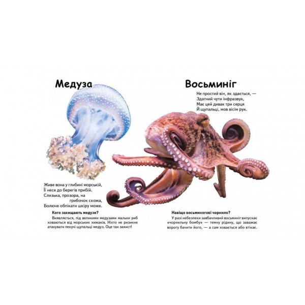 Хто це? Морські тварини. Запитання та відповіді (українською мовою)