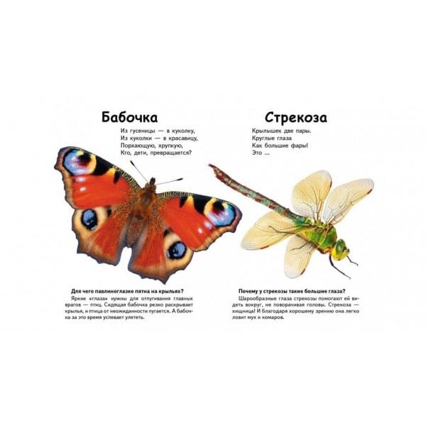 Хто це? Комахи і не тільки. Запитання та відповіді (російською мовою)