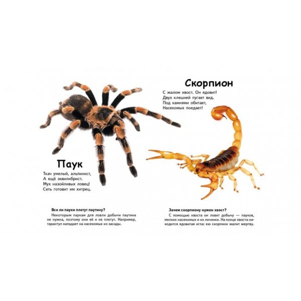 Хто це? Комахи і не тільки. Запитання та відповіді (російською мовою)