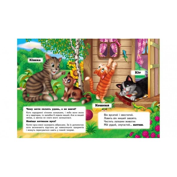 Хто це? На подвір'ї. Запитання та відповіді (українською мовою)