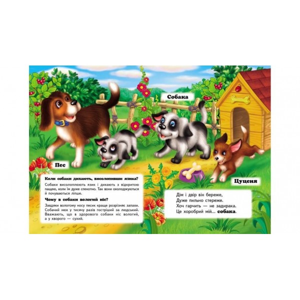 Хто це? На подвір'ї. Запитання та відповіді (українською мовою)