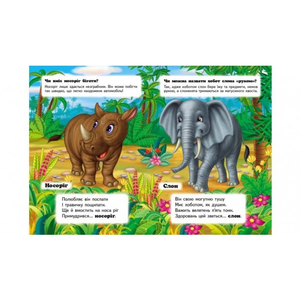 Хто це? У тропіках. Запитання та відповіді (українською мовою)