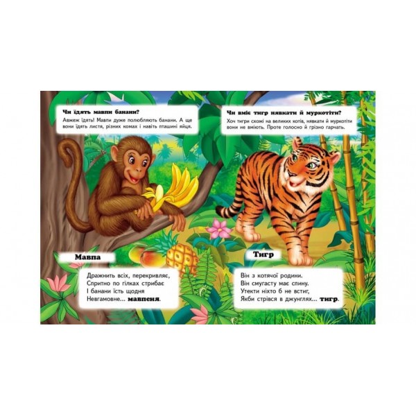 Хто це? У тропіках. Запитання та відповіді (українською мовою)