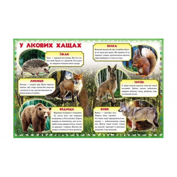 Моя перша книга. Про диких тварин (українською мовою)