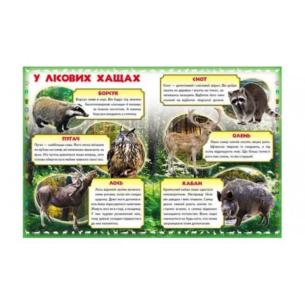 Моя перша книга. Про диких тварин (українською мовою)