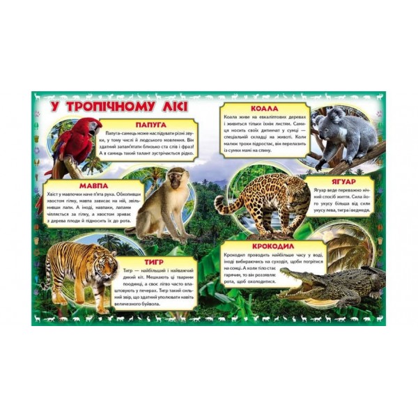 Моя перша книга. Про диких тварин (українською мовою)