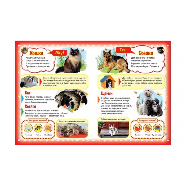 Моя перша книжка. Про домашніх тварин (пухка обкладинка) (російською мовою)