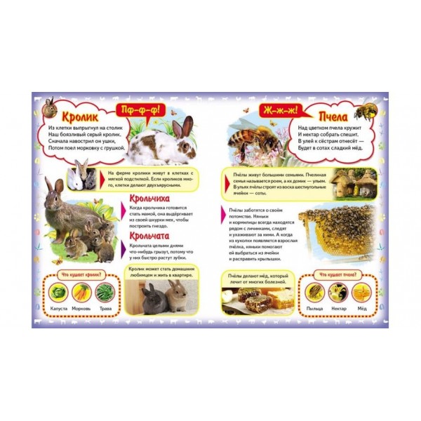 Моя перша книжка. Про домашніх тварин (пухка обкладинка) (російською мовою)