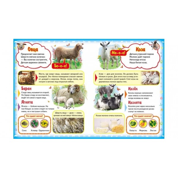 Моя перша книжка. Про домашніх тварин (пухка обкладинка) (російською мовою)