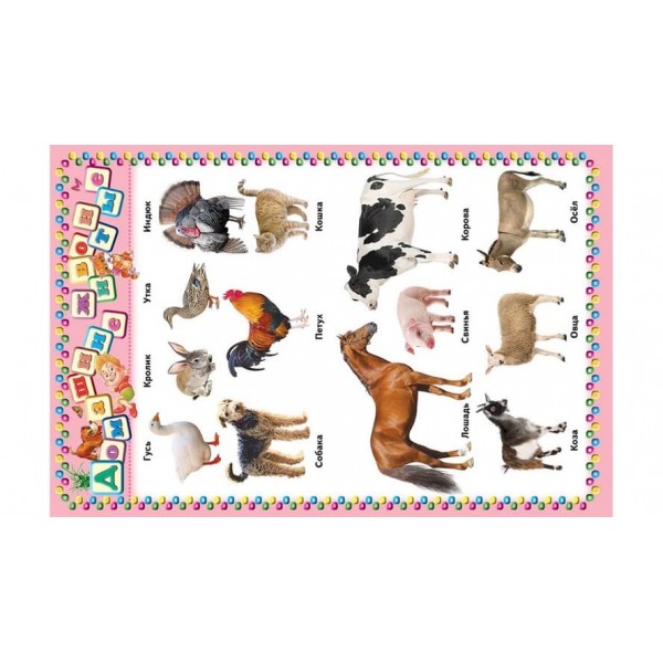 Моя перша книга (червона) (російською мовою)