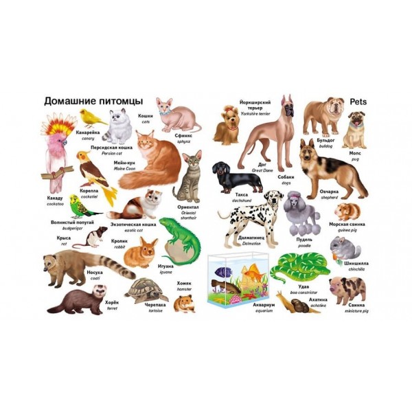 Перші слова. Тварини. + англійська (російською мовою)