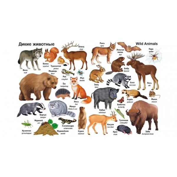 Перші слова. Тварини. + англійська (російською мовою)