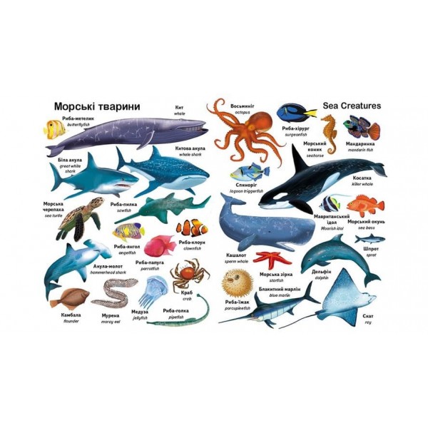 Перші слова. Тварини. + англійська (російською мовою)
