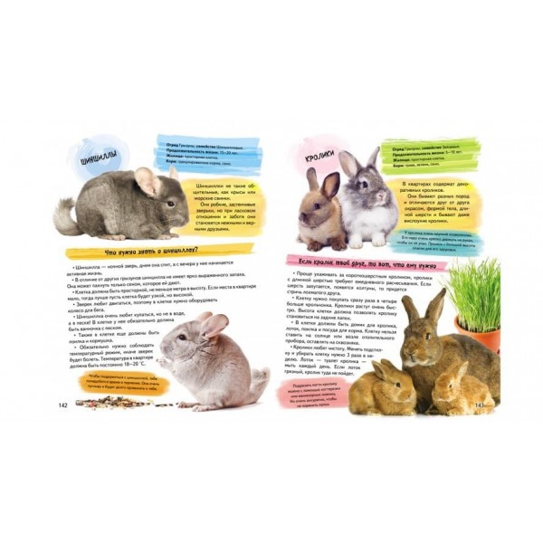 Велика енциклопедія для дівчаток у запитаннях і відповідях (російською мовою) 