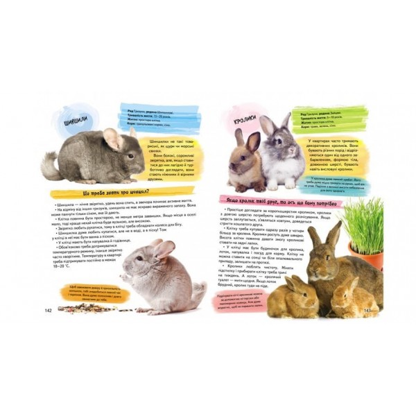 Велика енциклопедія для дівчаток у запитаннях і відповідях (українською мовою)