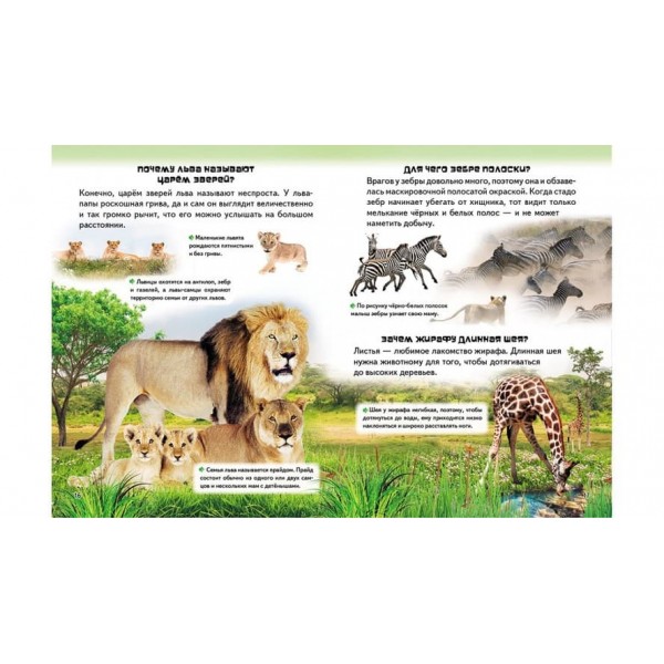 Велика енциклопедія чомучки в питаннях і відповідях (російською мовою)