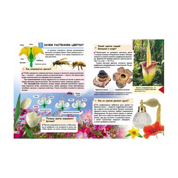 Чомучкам про все на світі в запитаннях і відповідях (російською мовою)