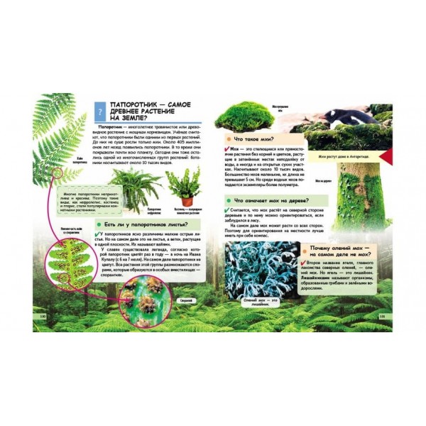 Чомучкам про все на світі в запитаннях і відповідях (російською мовою)