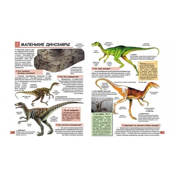 Ілюстрована дитяча енциклопедія в питаннях і відповідях (російською мовою)
