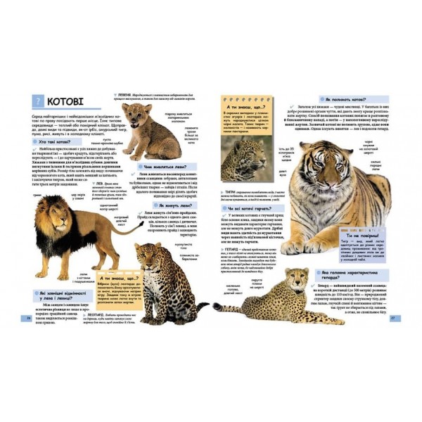 Ілюстрована дитяча енциклопедія у запитаннях і відповідях (українською мовою)