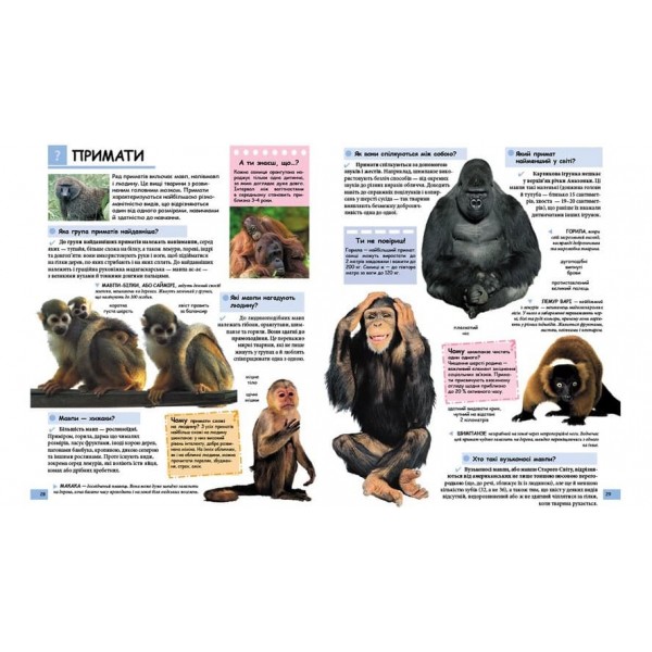 Ілюстрована дитяча енциклопедія у запитаннях і відповідях (українською мовою)