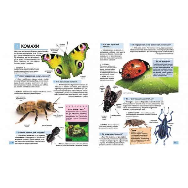 Ілюстрована дитяча енциклопедія у запитаннях і відповідях (українською мовою)