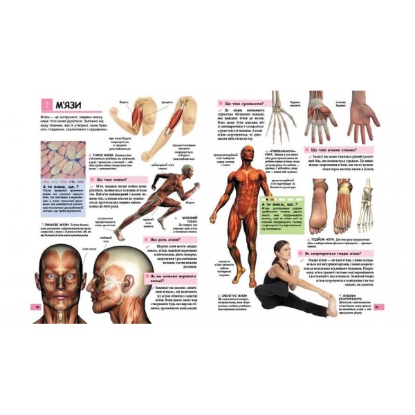 Ілюстрована дитяча енциклопедія у запитаннях і відповідях (українською мовою)