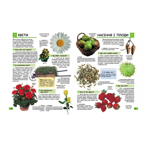 Ілюстрована дитяча енциклопедія у запитаннях і відповідях (українською мовою)