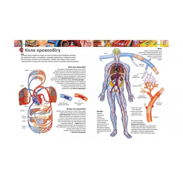 Ілюстрована енциклопедія «Я і світ навколо мене»  (українською мовою)