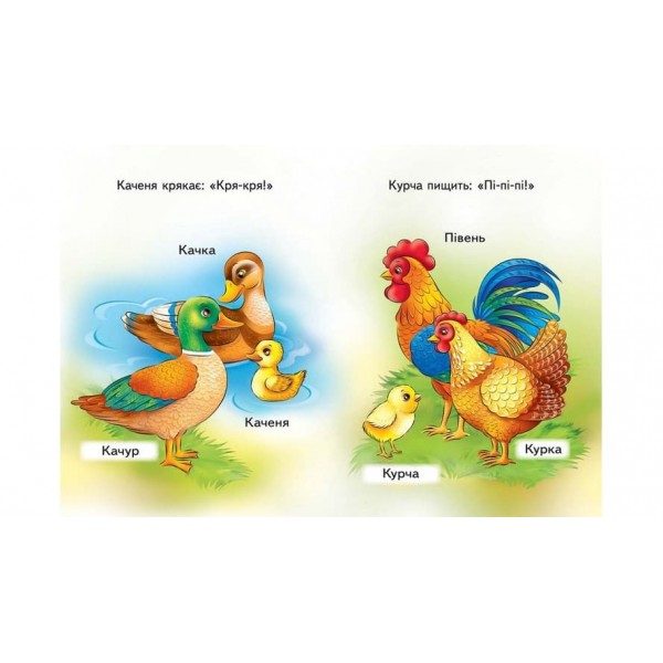 Мами, тати, малюки  (українською мовою)