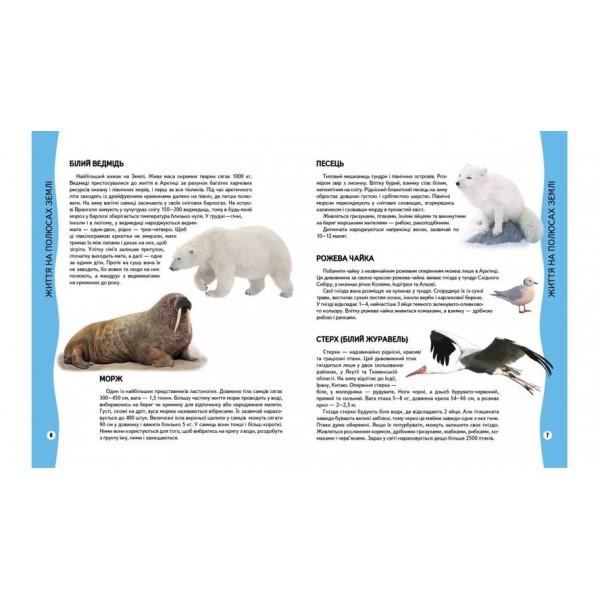 Енциклопедія тварин (українською мовою)