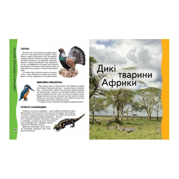 Енциклопедія тварин (українською мовою)