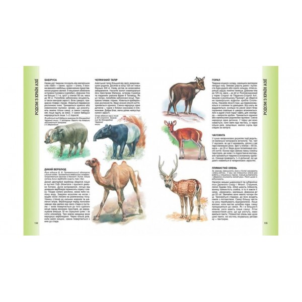 Велика енциклопедія тварин (російською мовою)