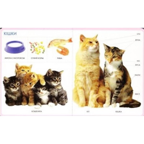 Моя перша книжка. Тварини (українською мовою)